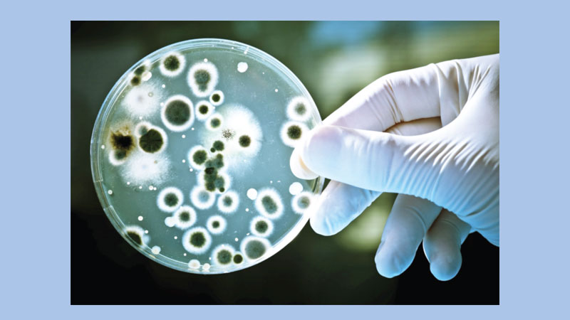 Infectious diseases