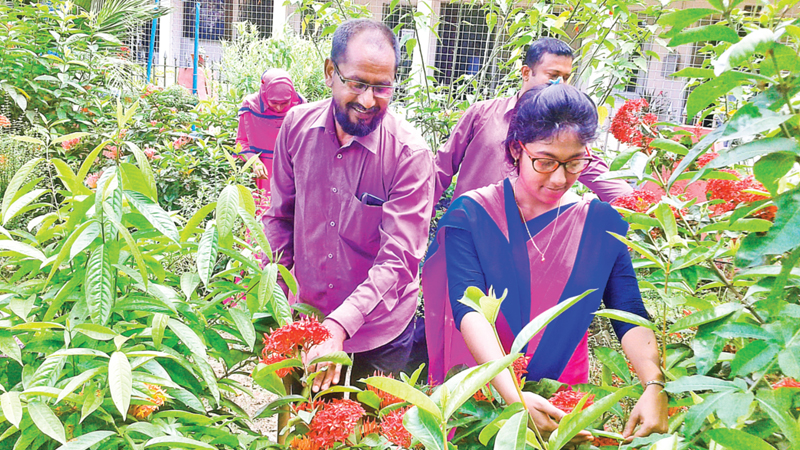 Gardening, beautification part of curriculum at Jhenidah PTI
