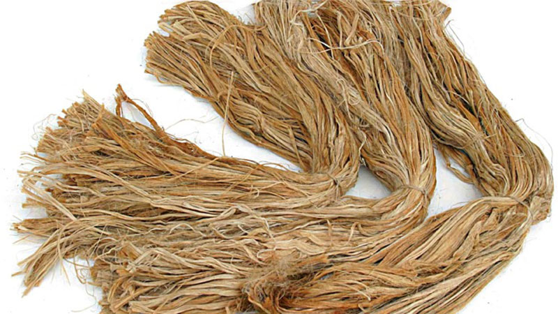 Promising future of jute