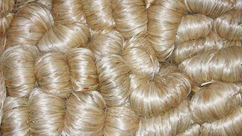 India urged not to impose  
anti-dumping duty on Jute 