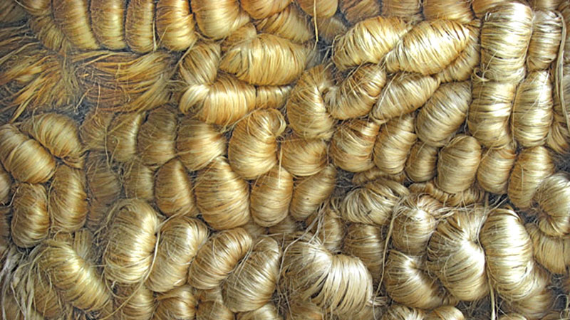 BJMC signs jute export deal
