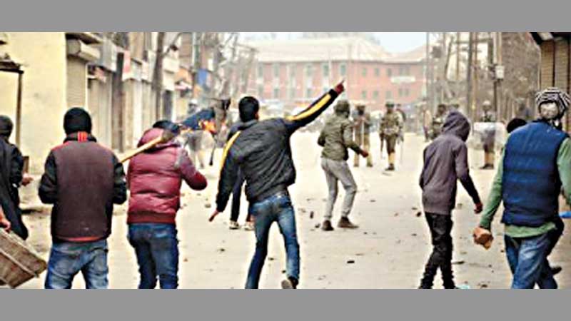 Rich Kashmiri boys take to guns and the deep woods 