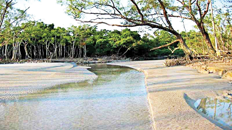 Infrastructure, manpower 
key hurdles to tap Khulna 
tourism potentials   