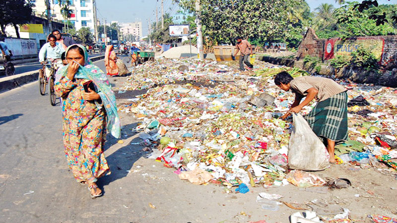 Khulna yet to be freed of animal wastes