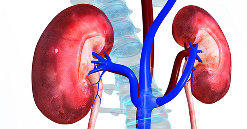 Diarrhea causes kidney failure: Experts