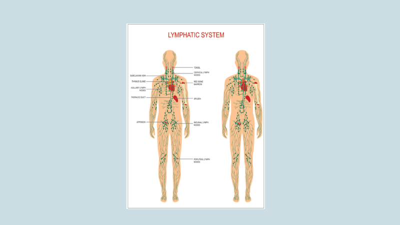 Lymph Drainage Therapy 