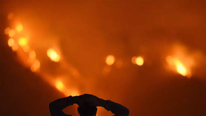 4 Bangladeshis killed in South Africa fire   

