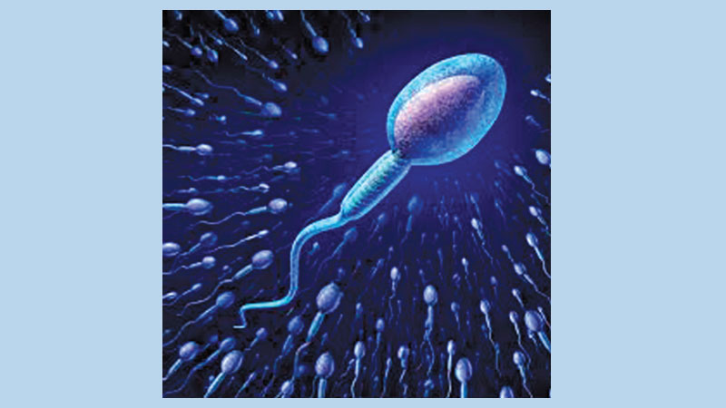 Male infertility