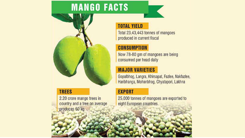 Farmers cry for storage as 40pc of mangoes go wasted
