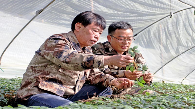 Memorable Yunnan people and their deeds in 2019