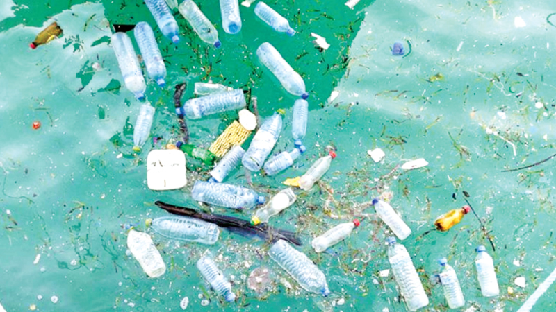 Menacing plastic pollution