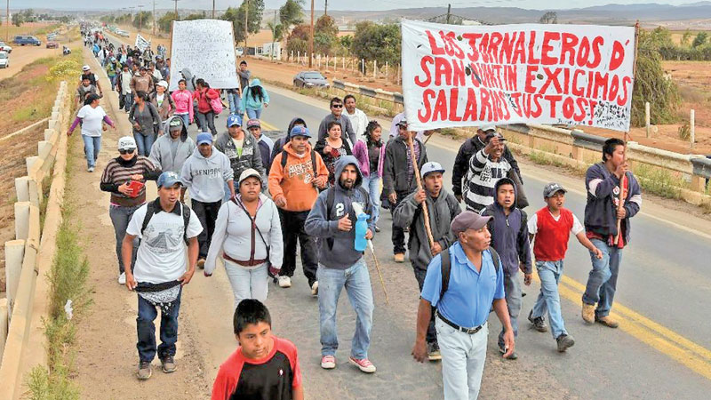 US, Mexico battle to draw 
after Bradley wonder strike