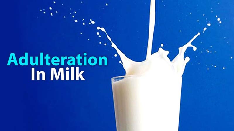 Milk production  