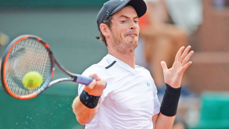 Murray, Del Potro set up French Open blockbuster