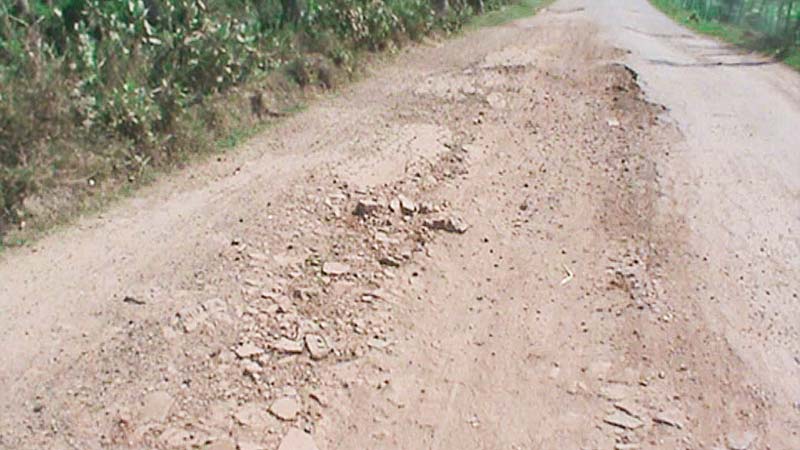 Narail roads in sorry state