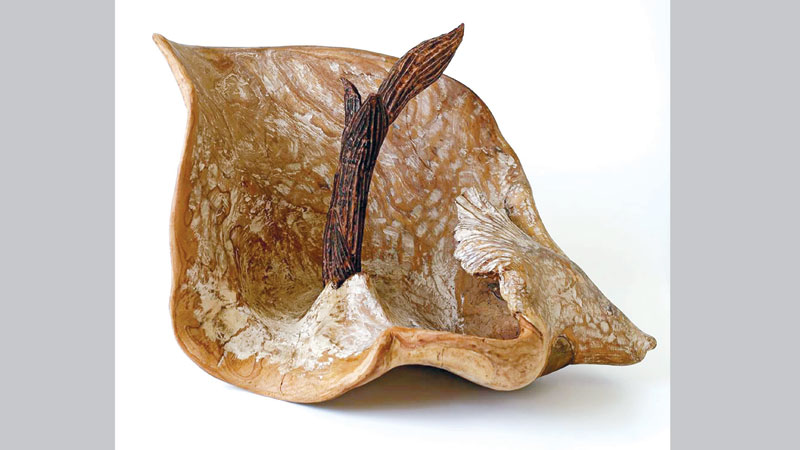 Nasir Ahammed’s 1st solo art show begins today