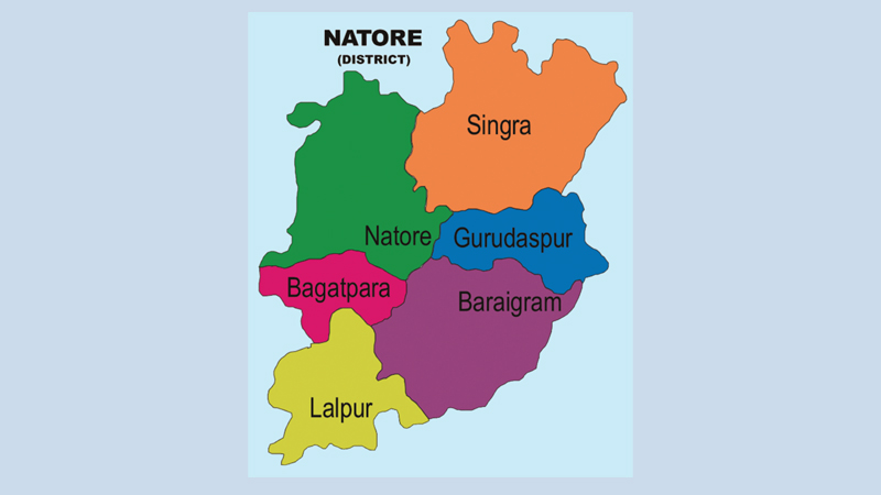 Natore District