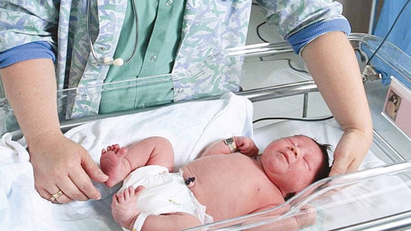 Newborns' immune 
systems ramp up 
after birth
