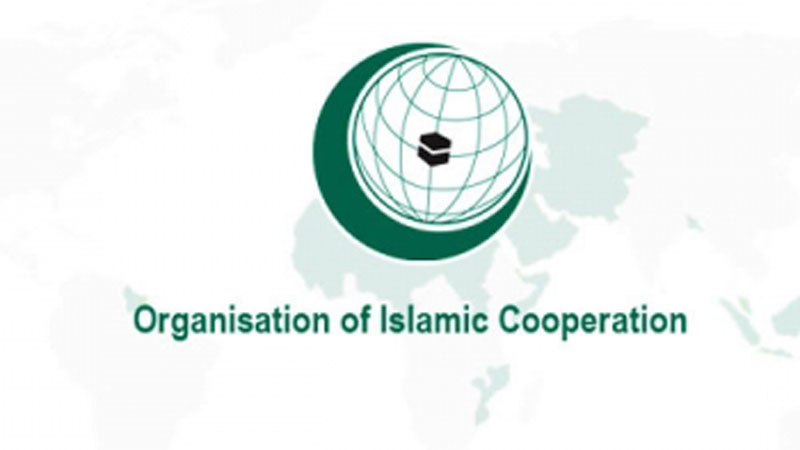 Act to end atrocities by Israel, OIC tells UNSC