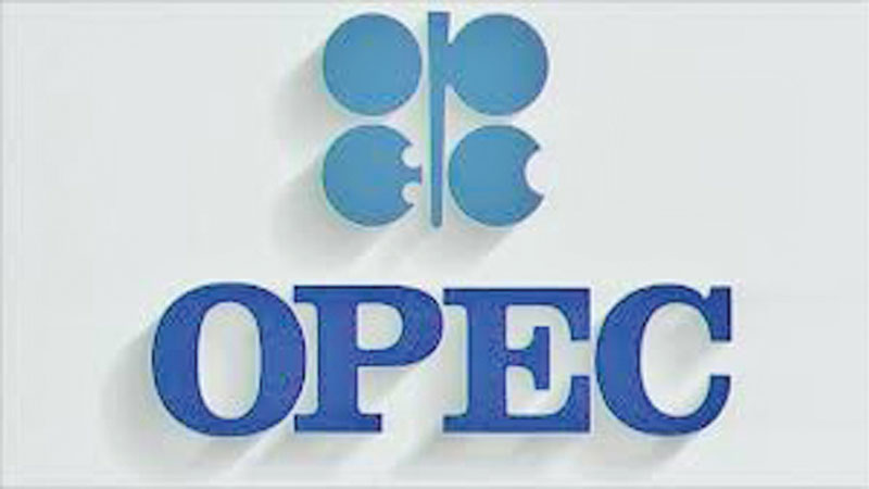 OPEC members support Paris Agreement: Secy gen
