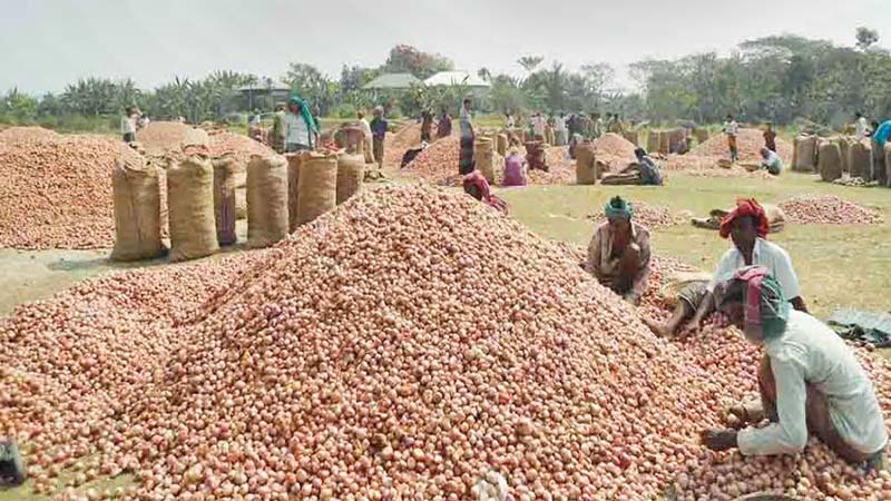 Onion growers happy over good production, price