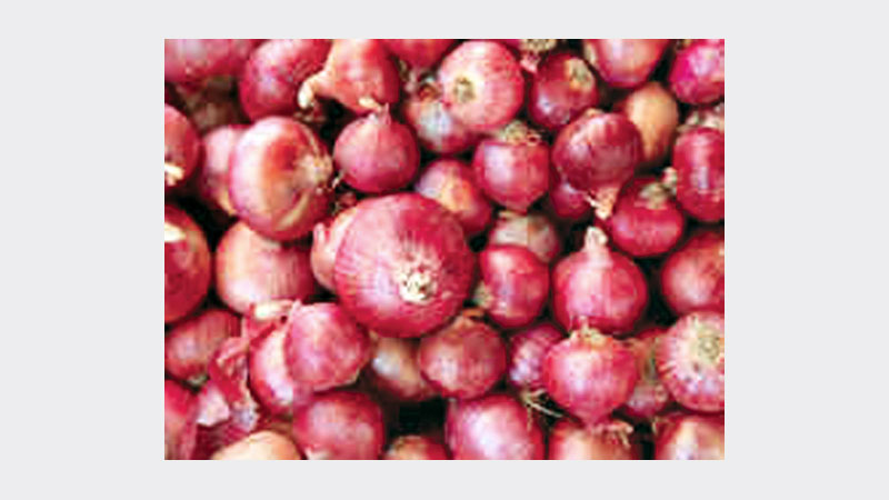 Onion prices still beyond control, says minister