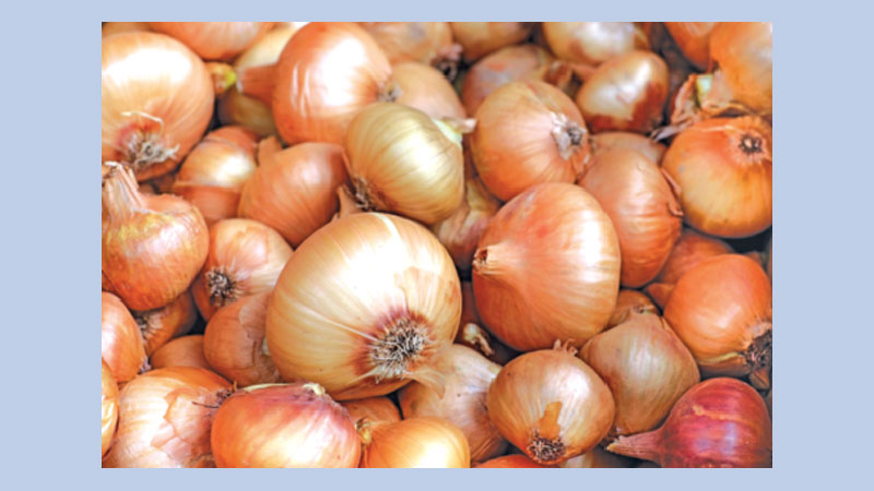 Onion prices high due to ‘artificial crisis’ 