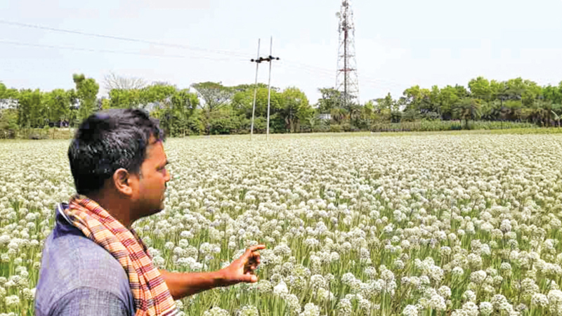 Steps to be taken to stabilise onion price: TCB chairman 