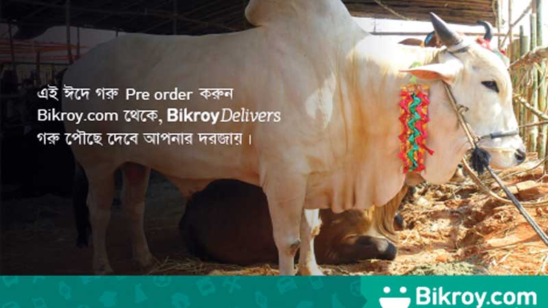 Online cattle market