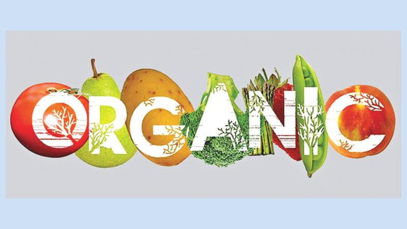 Organic outlets fresh lease of life amid pesticide menace