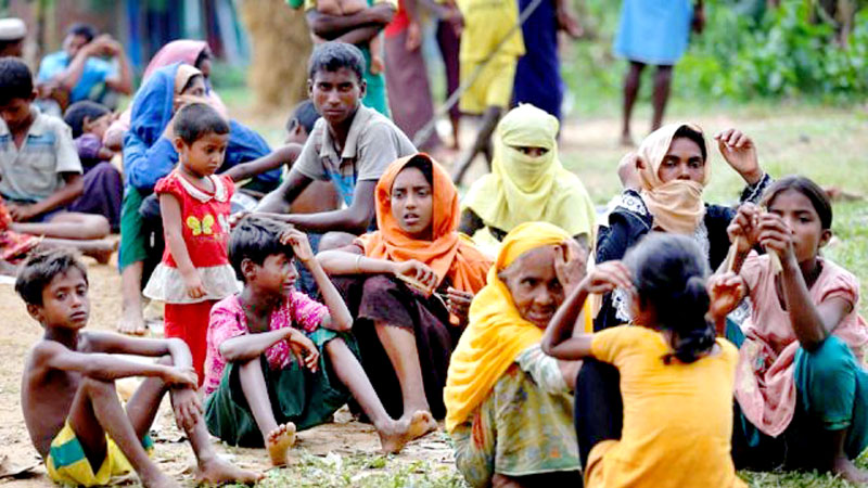 Over 14,000 Rohingyas  ‘extremely vulnerable’