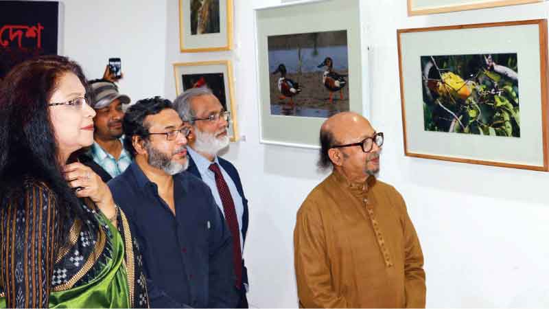 �Pakhir Desh Bangladesh�
