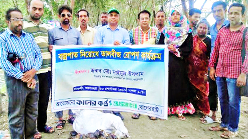 Palm seeds plant begins in Bagerhat