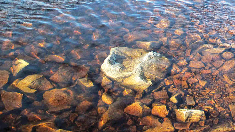 The peat coal potential 