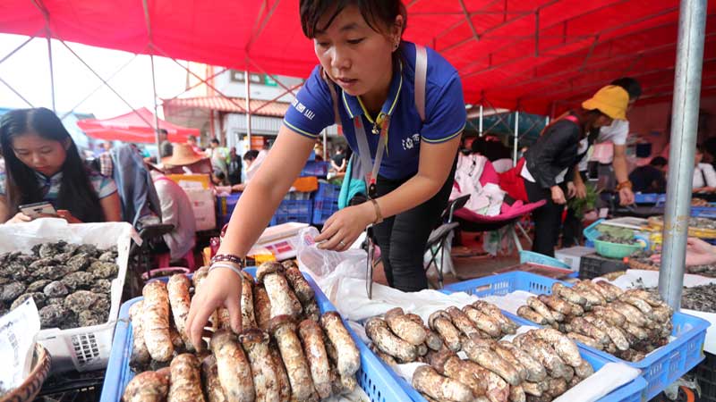 Yunnan leads the country
in biodiversity