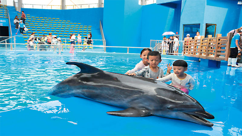 Shilin Snow and Ocean Amusement Park opened