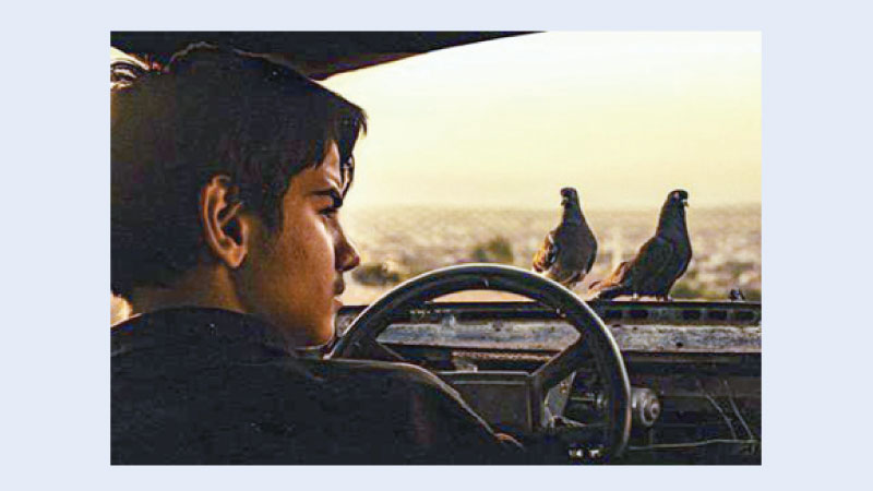 ‘The Pigeon Thieves’, ‘Sanaton Golpo’ to be screened today