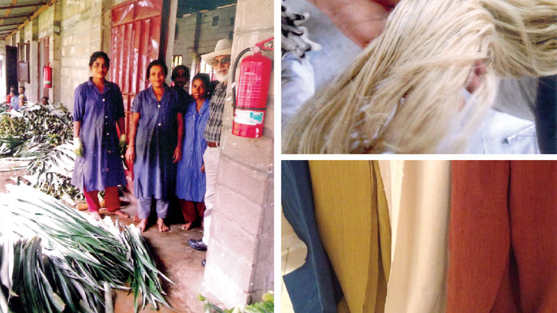 Pina fibre: wonder yarn