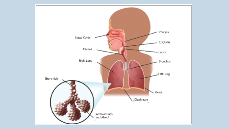 Pneumonia in children