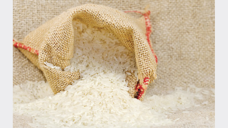 Price largely untamed despite record rice import