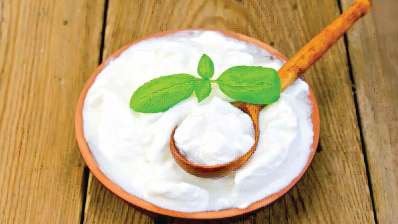 Probiotics and your thyroid: what you should know