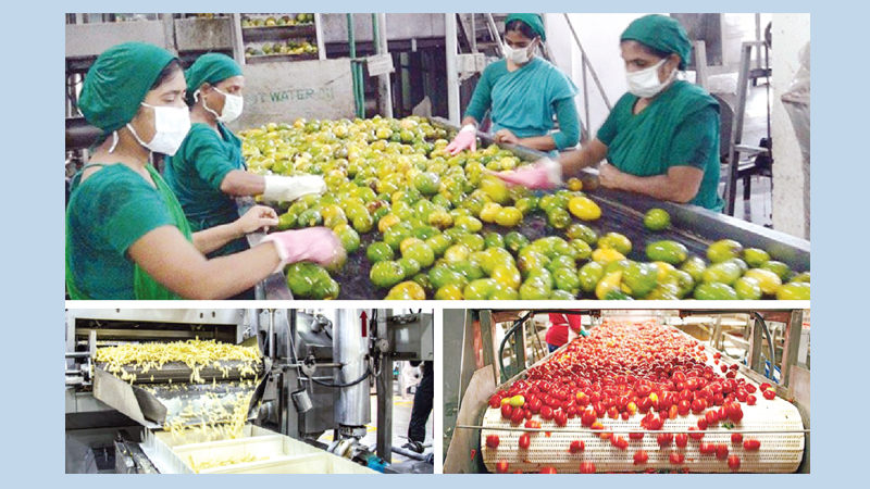 Promising prospects in agro-processing sector