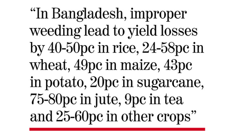Proper weeding can boost crop yield ‘by 22pc’
