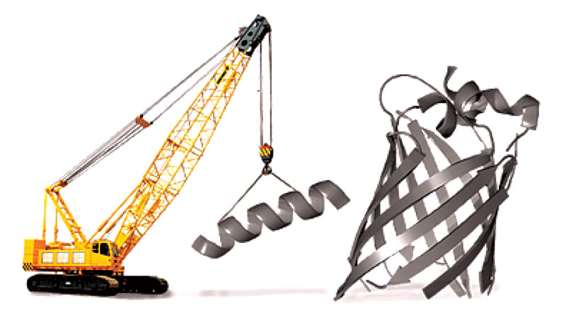 Protein engineering may be the future of science