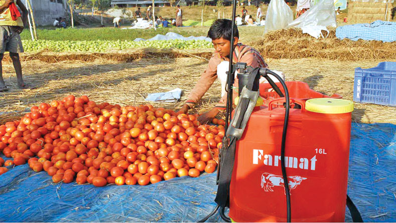 Public awareness a dire need 