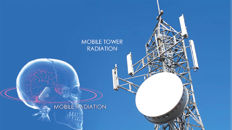 Radiation measurement yet to begin