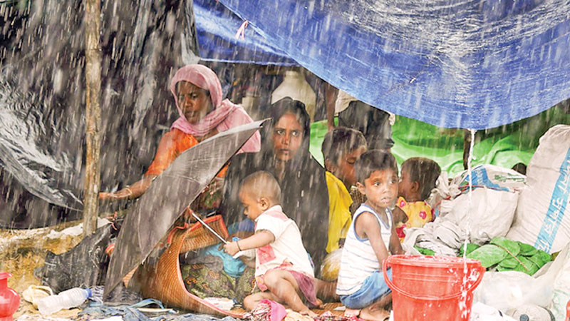 Rainy season and plight of Rohingya refugees 