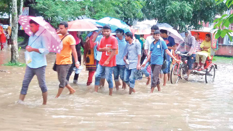 Rain brings relief for Rajshahi residents 