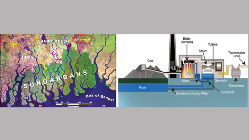 Is the Rampal Power Plant really sustainable? 