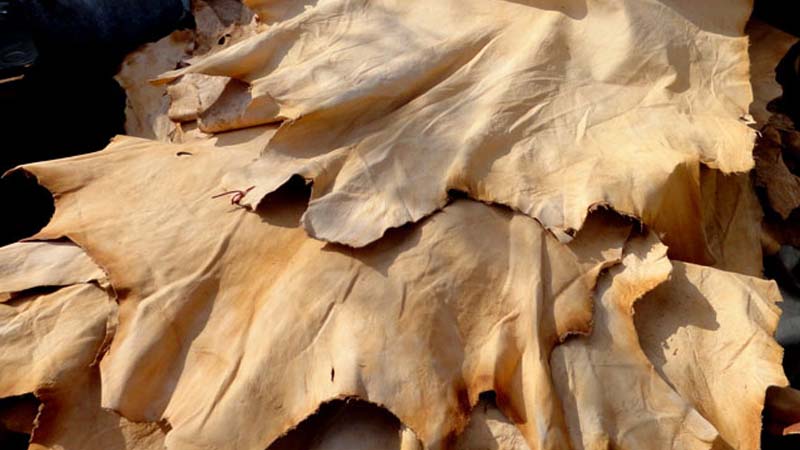 Unsold stock, bank loans deal hard blow
